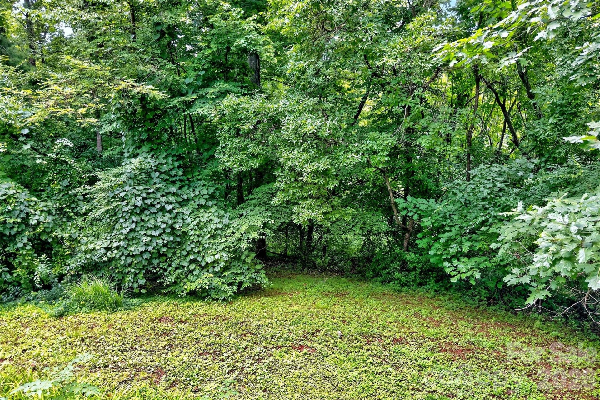 22 Woodbend Lane - Photo 44