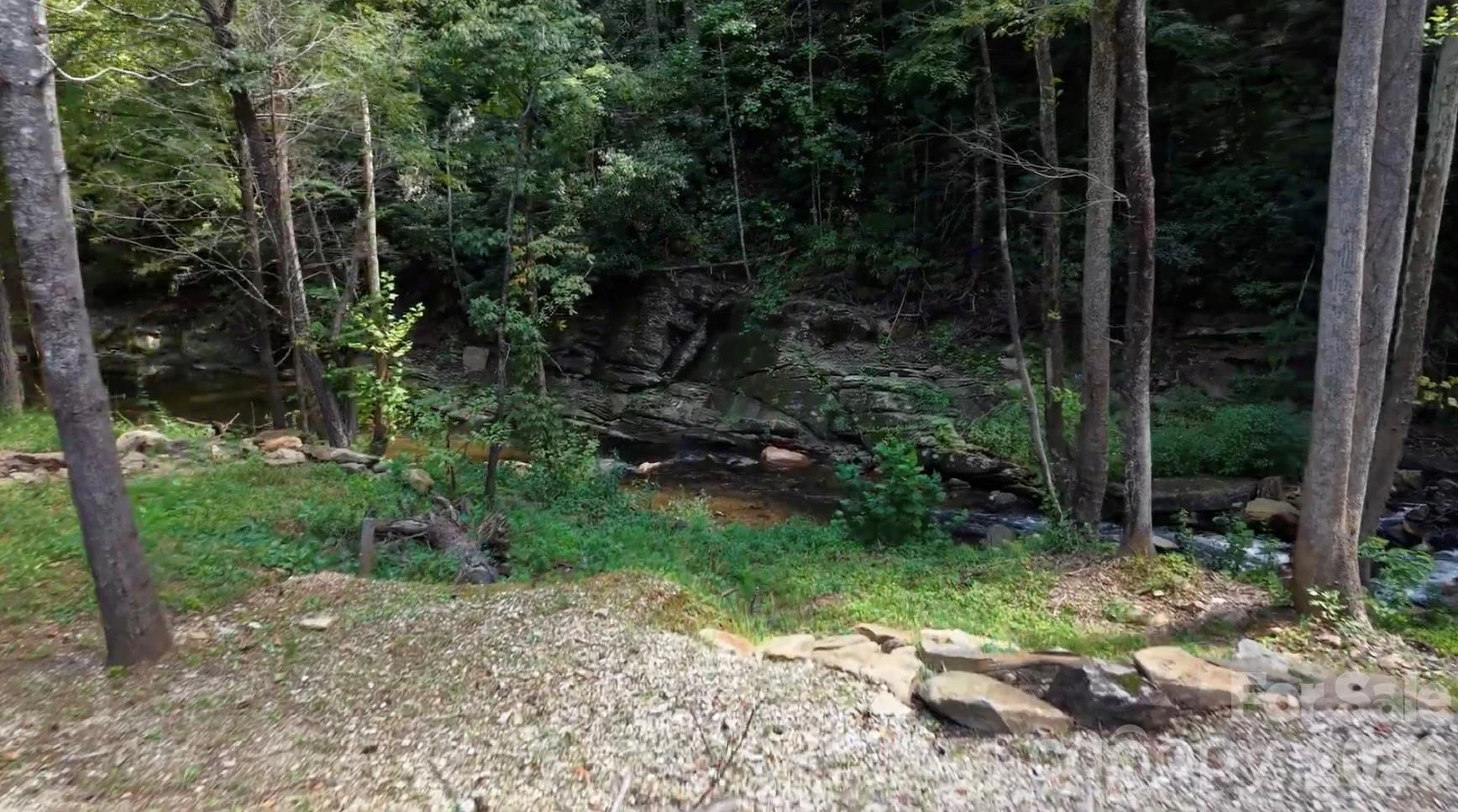 1363 Armstrong Creek Road - Photo 2