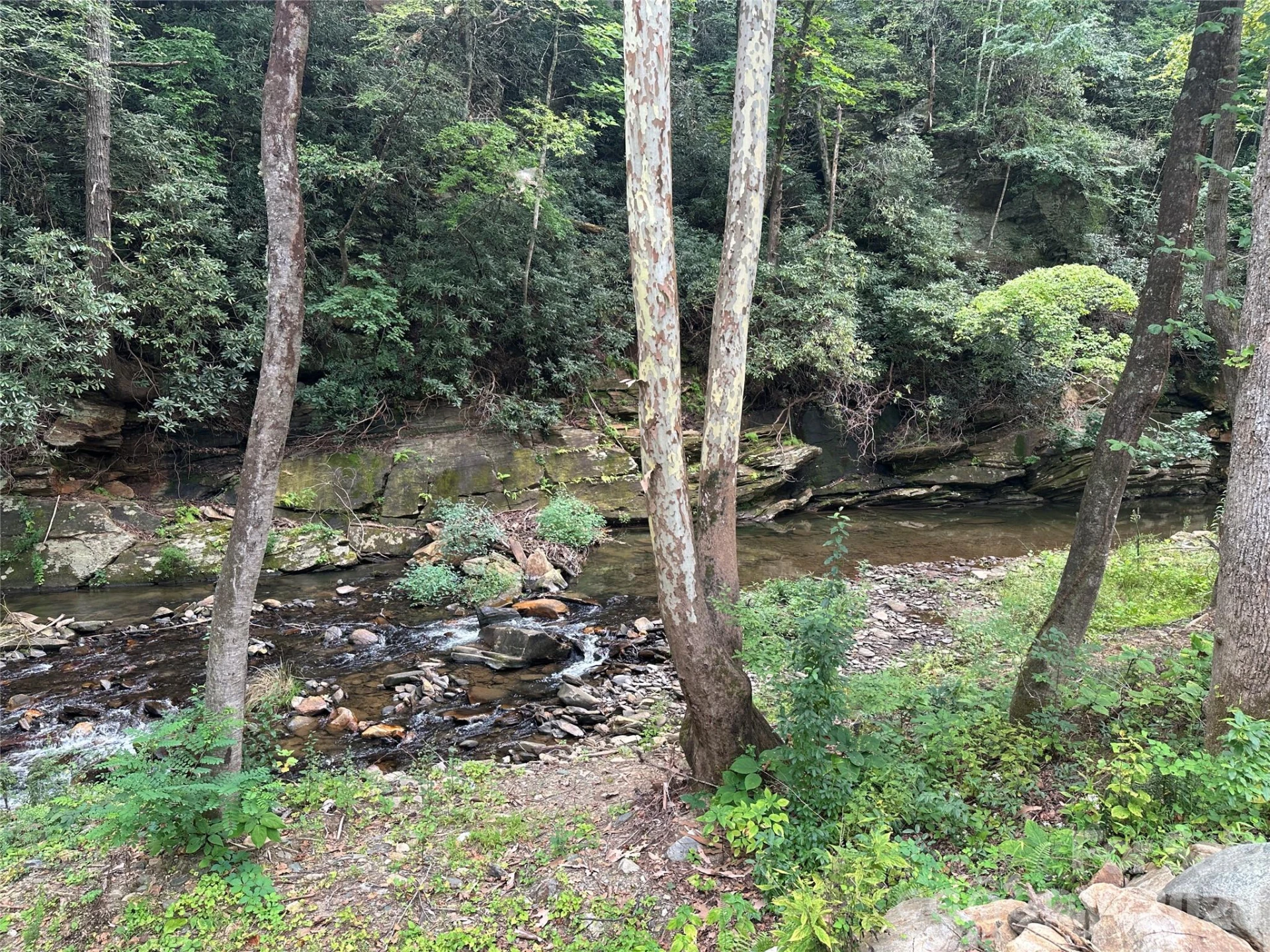 1363 Armstrong Creek Road - Photo 15