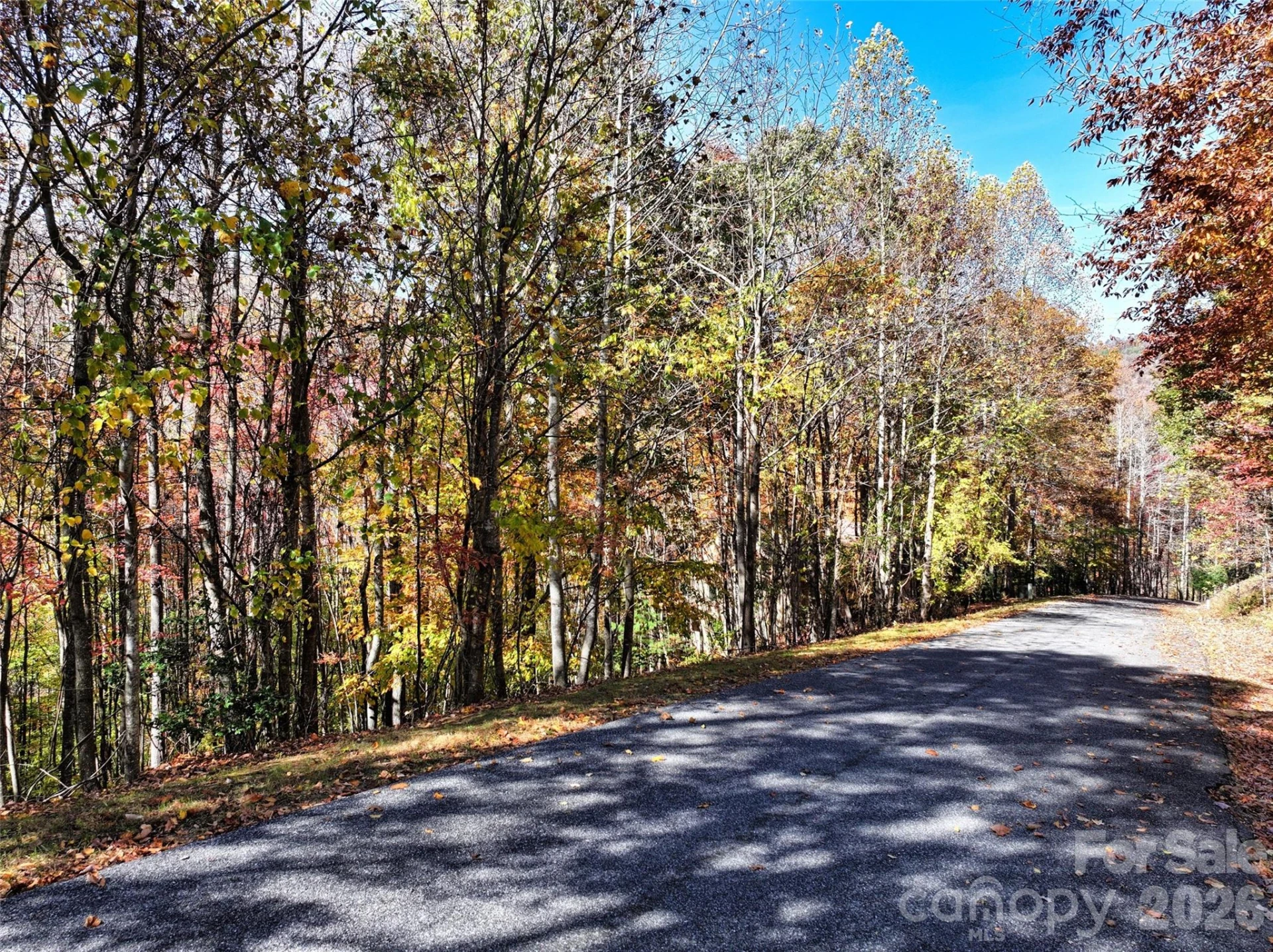 829 Stoney Stream Lane - Photo 2