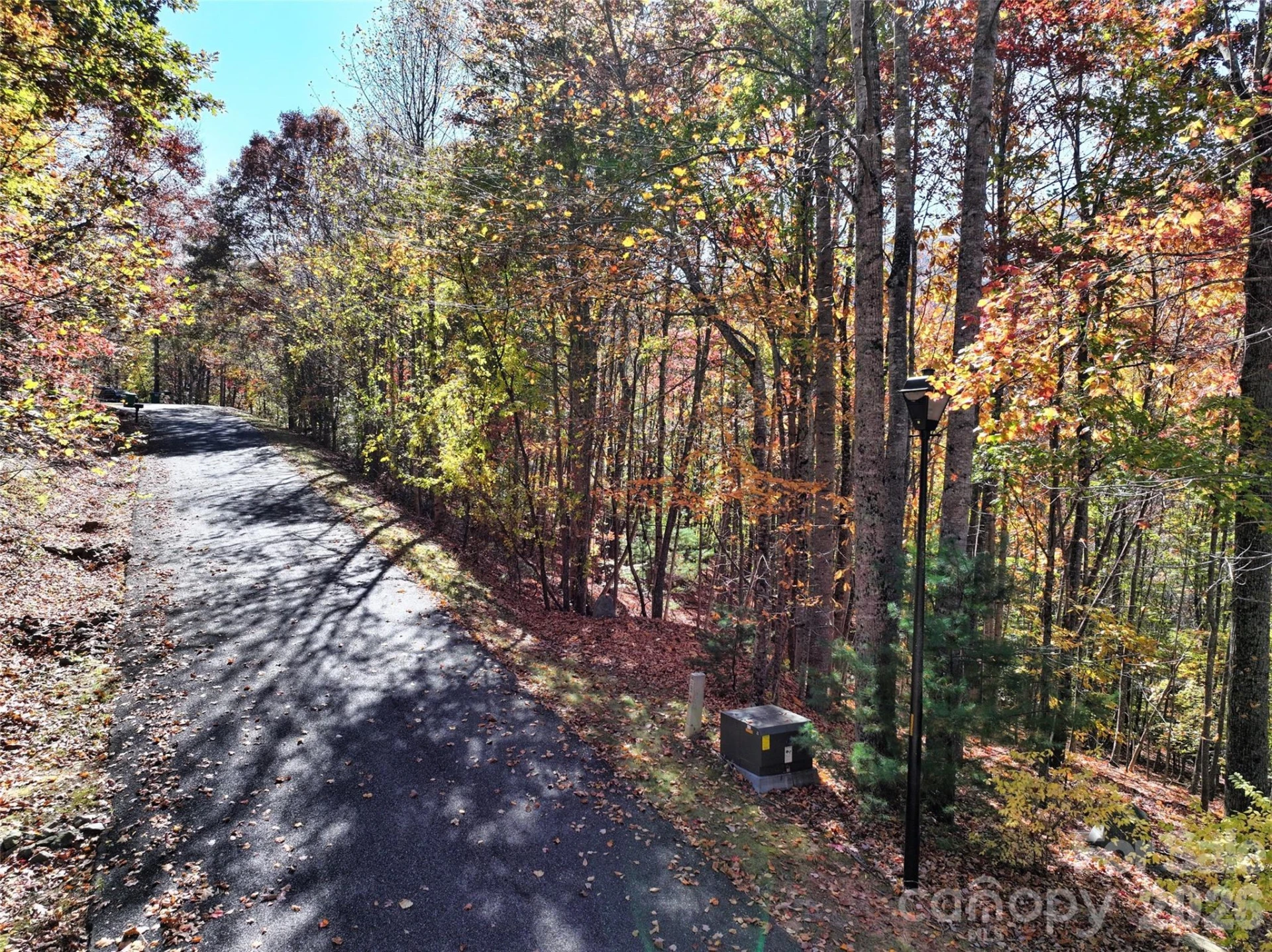 829 Stoney Stream Lane - Photo 5