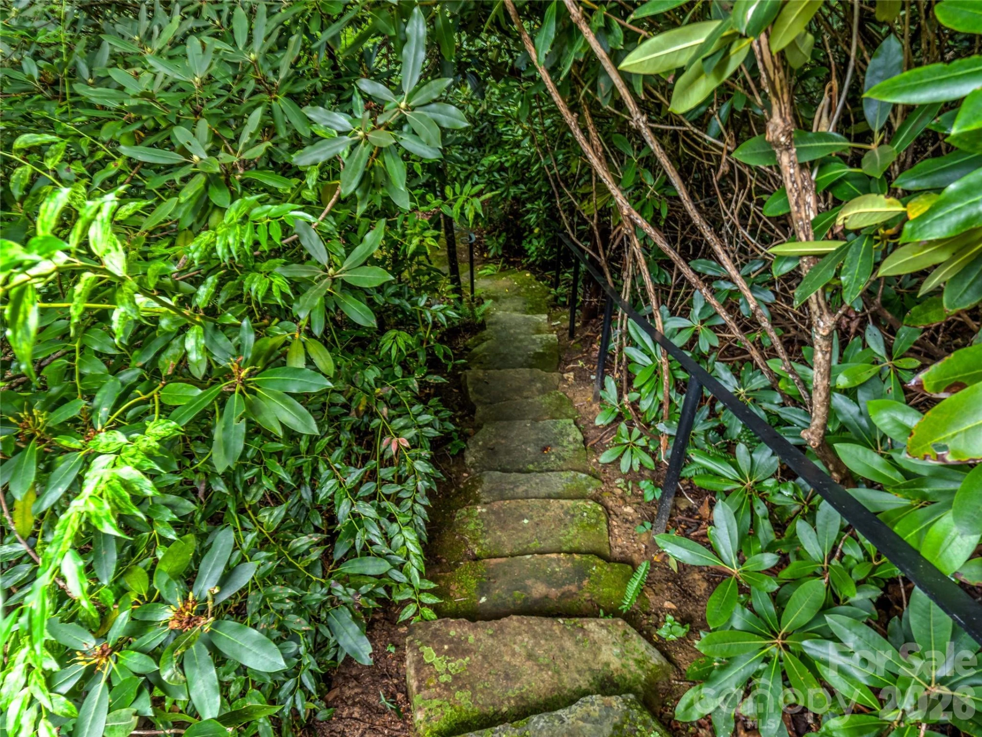 33 Robinson Creek Road - Photo 29