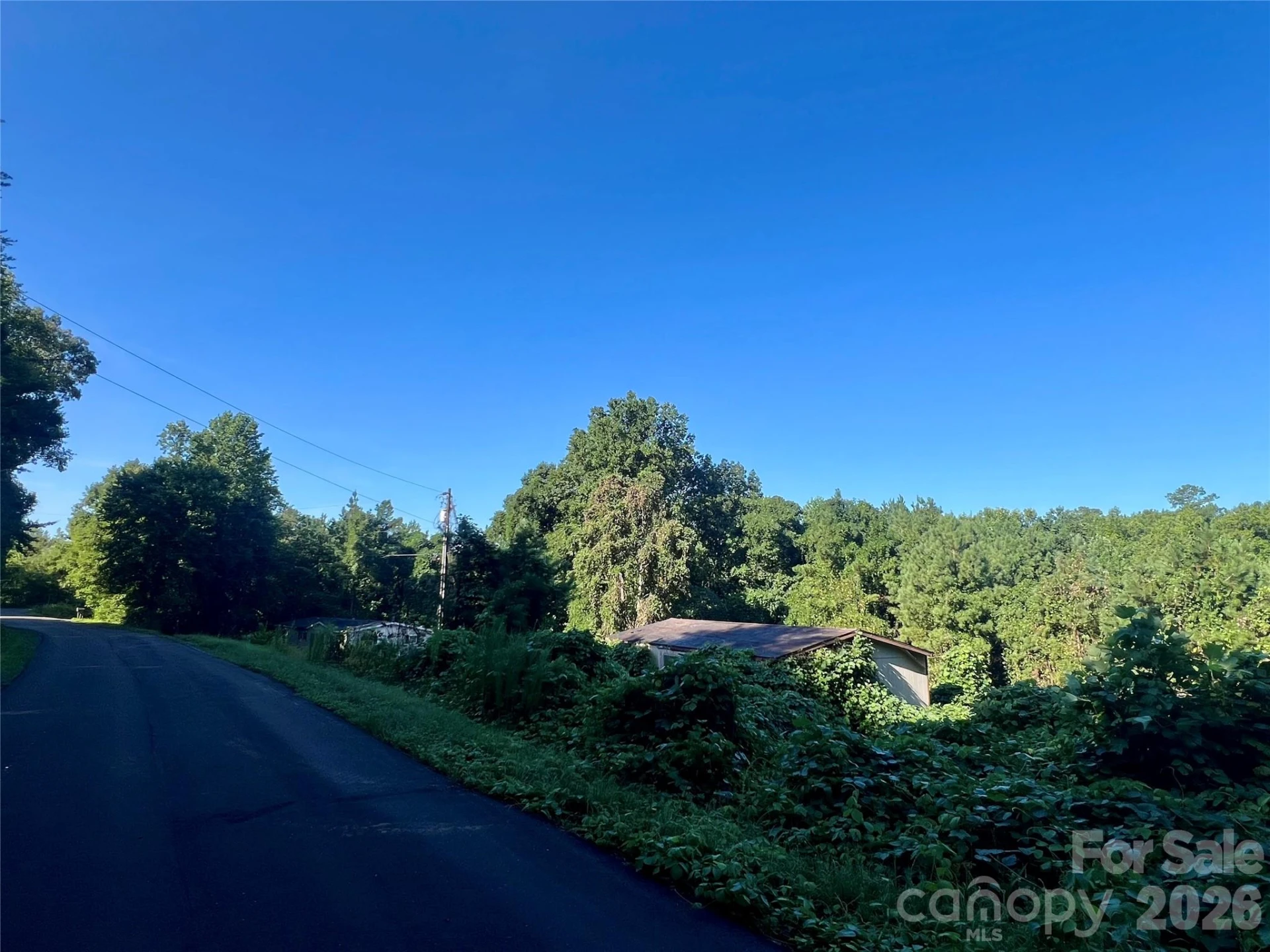 280 Jonas Sims Road - Photo 2