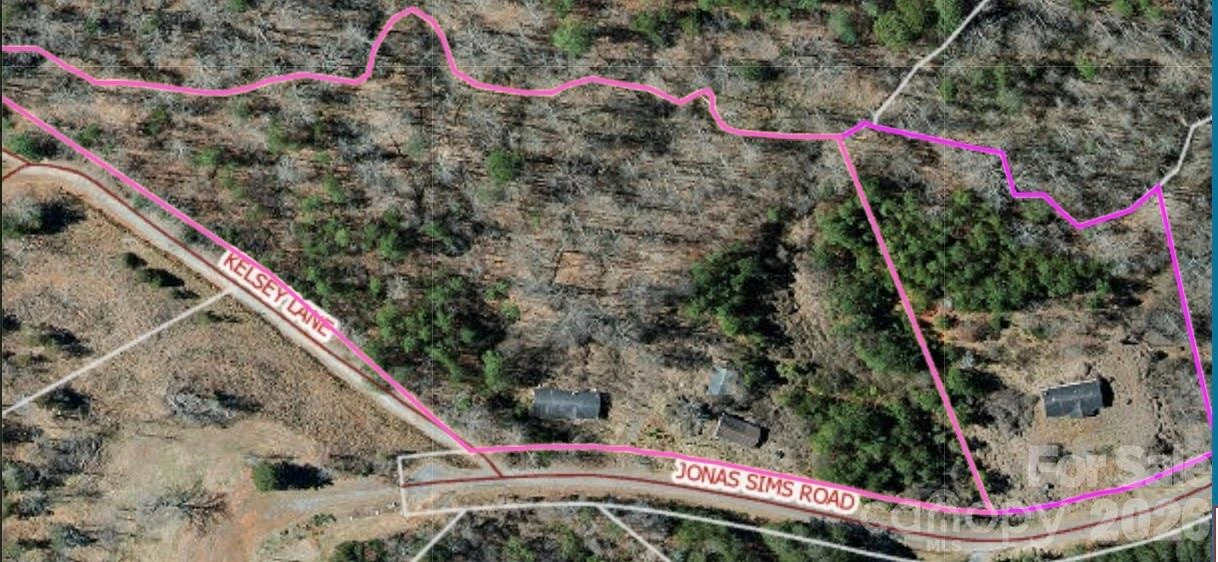 280 Jonas Sims Road - Photo 3