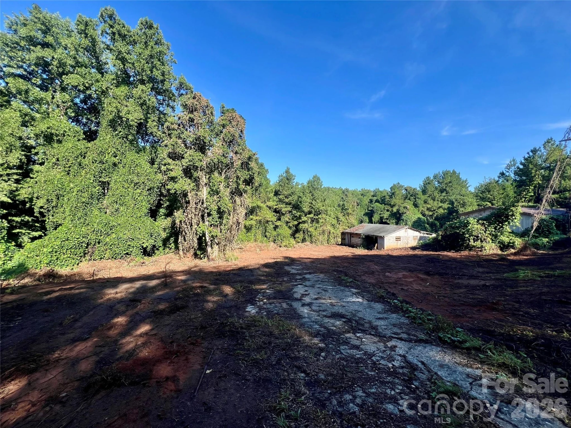 280 Jonas Sims Road - Photo 4