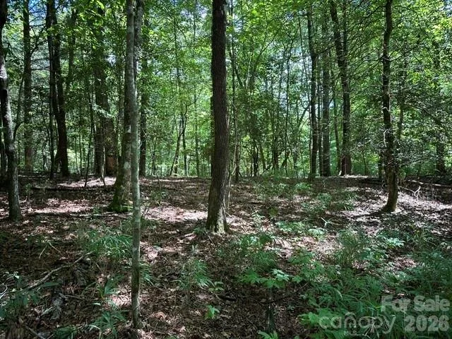 TBD Blossom Road, Brevard, NC, 28712