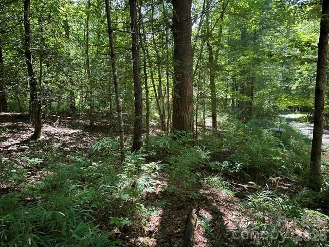 TBD Blossom Road - Photo 2