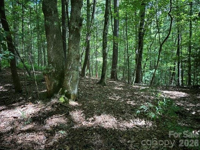 TBD Blossom Road - Photo 3