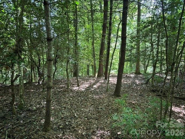 TBD Blossom Road - Photo 4