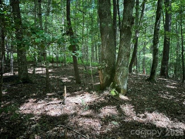 TBD Blossom Road - Photo 5