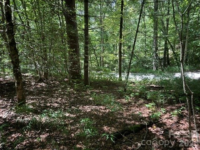 TBD Blossom Road - Photo 6