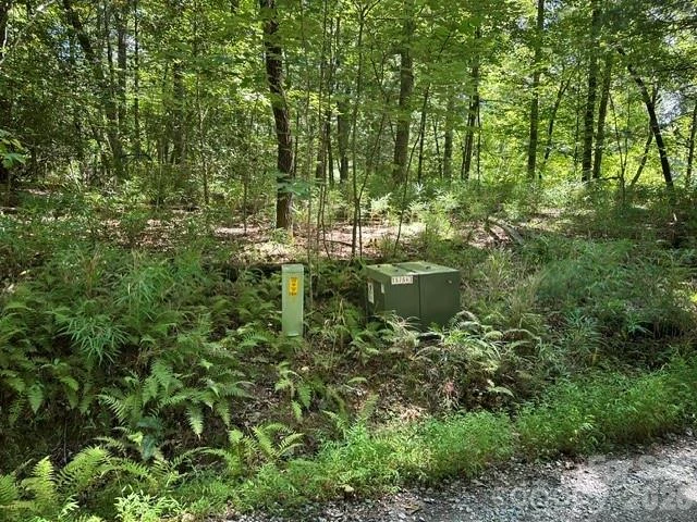 TBD Blossom Road - Photo 7