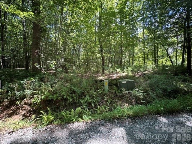 TBD Blossom Road - Photo 8