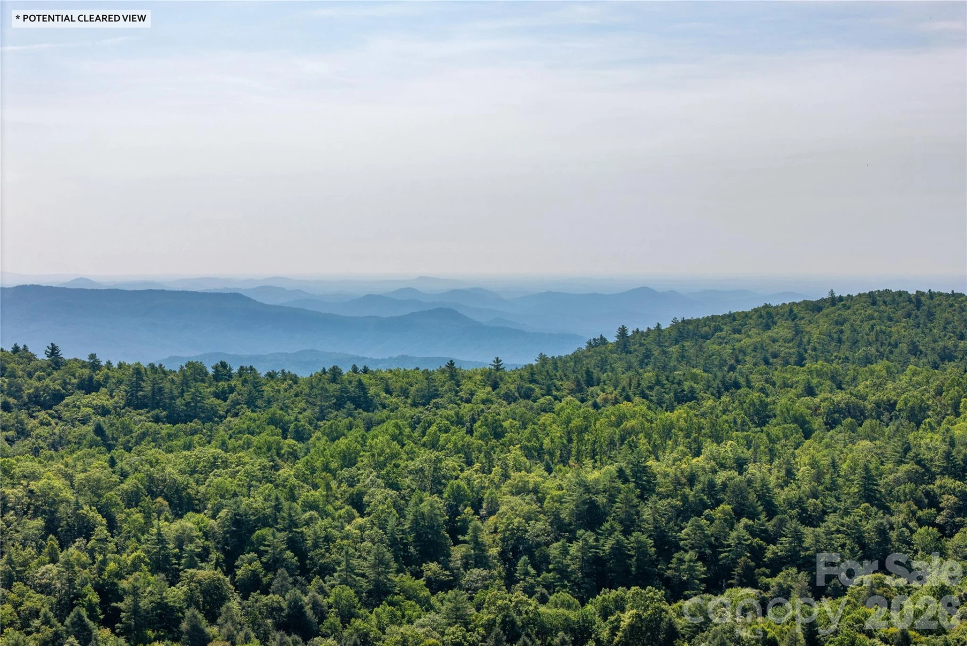 TBD Whitewater Road - Photo 8