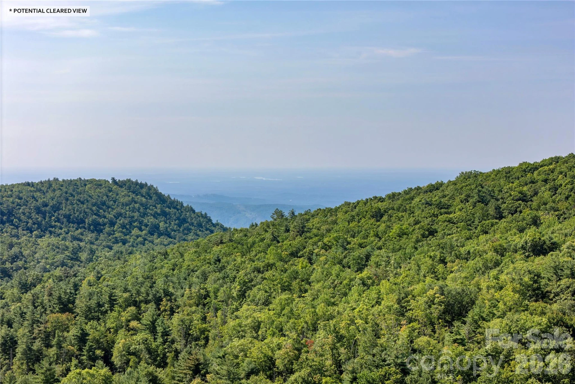 TBD Whitewater Road - Photo 9