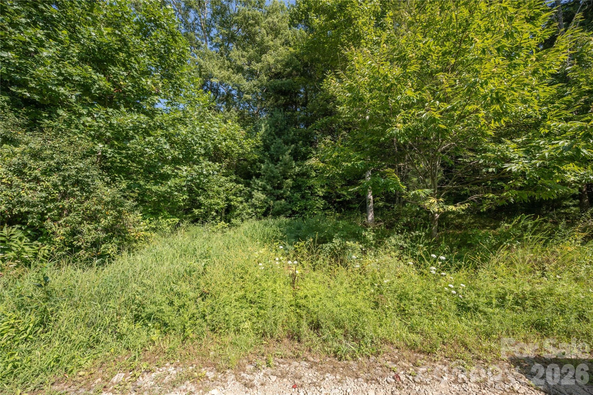TBD Whitewater Road - Photo 10