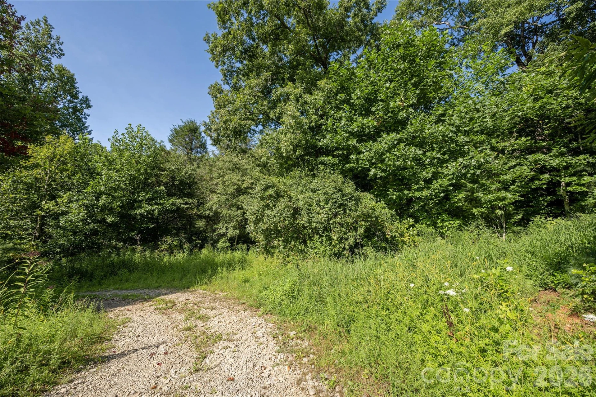 TBD Whitewater Road - Photo 11