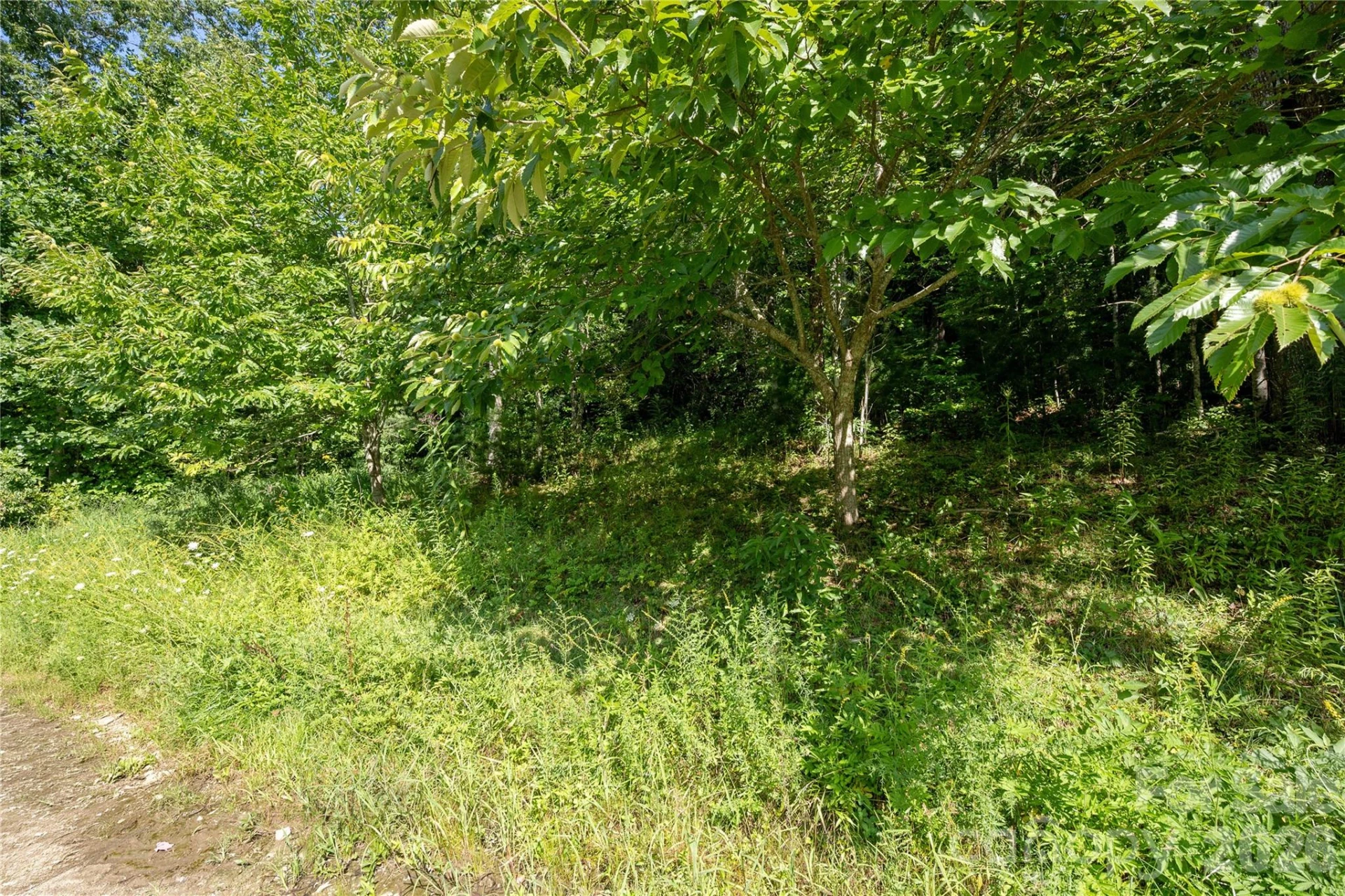 TBD Whitewater Road - Photo 12