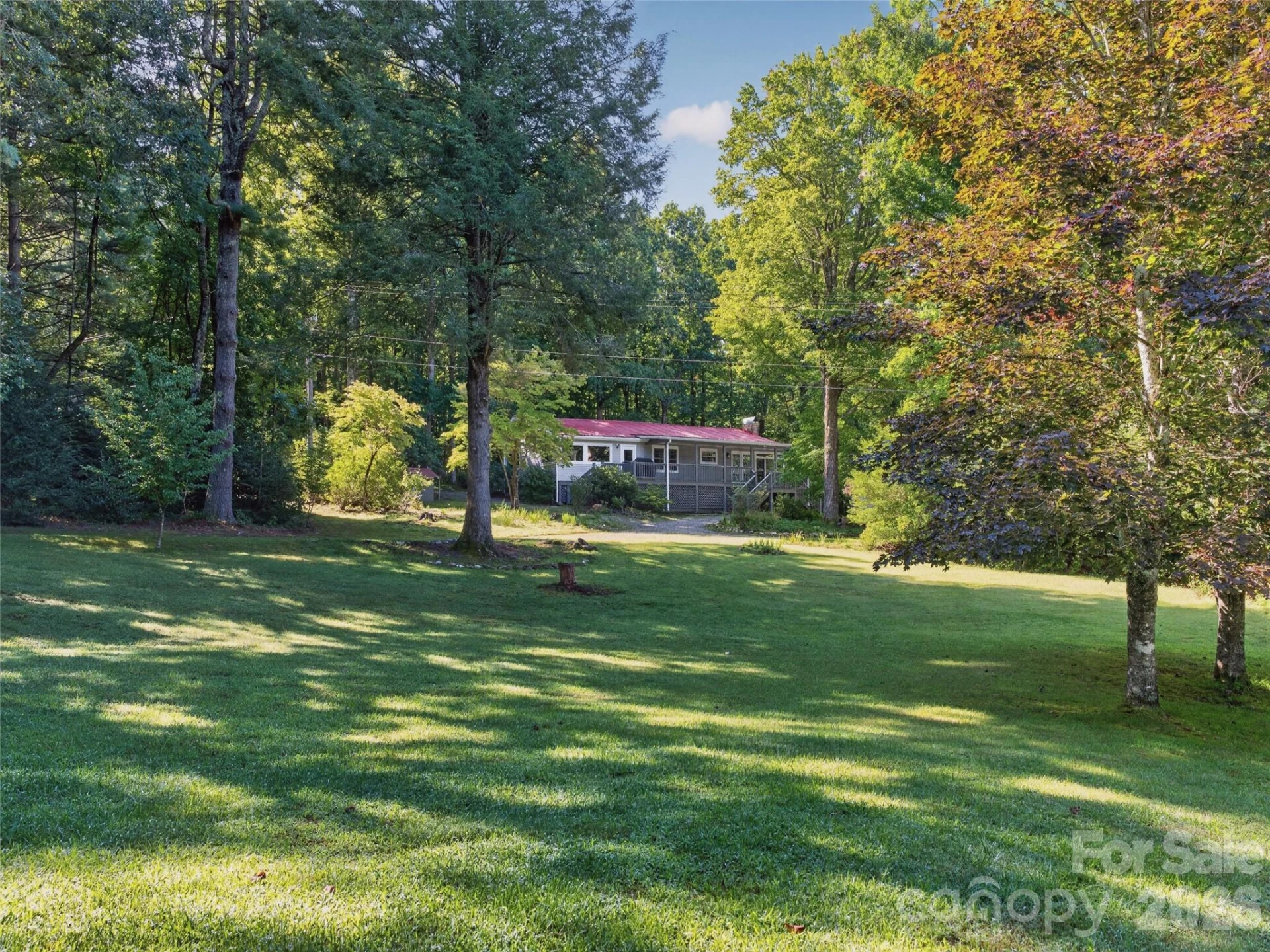 1900 Solomon Jones Road - Photo 2