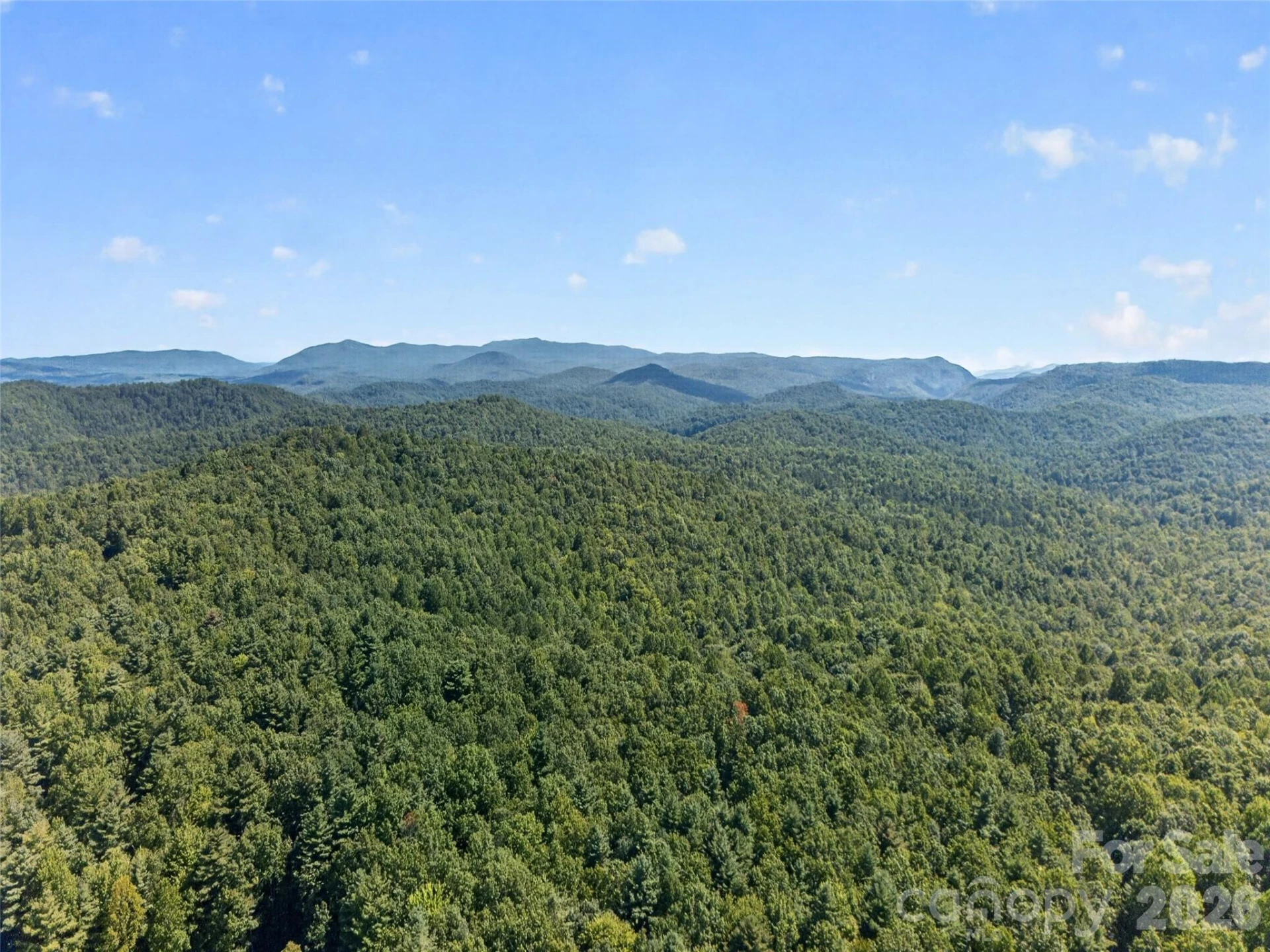 1900 Solomon Jones Road - Photo 31