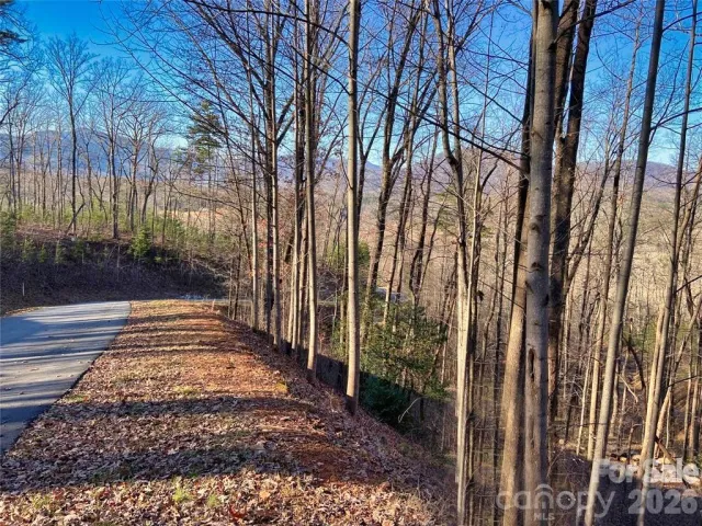 Lot 114 High Pines Loop, Lake Lure, NC, 28746
