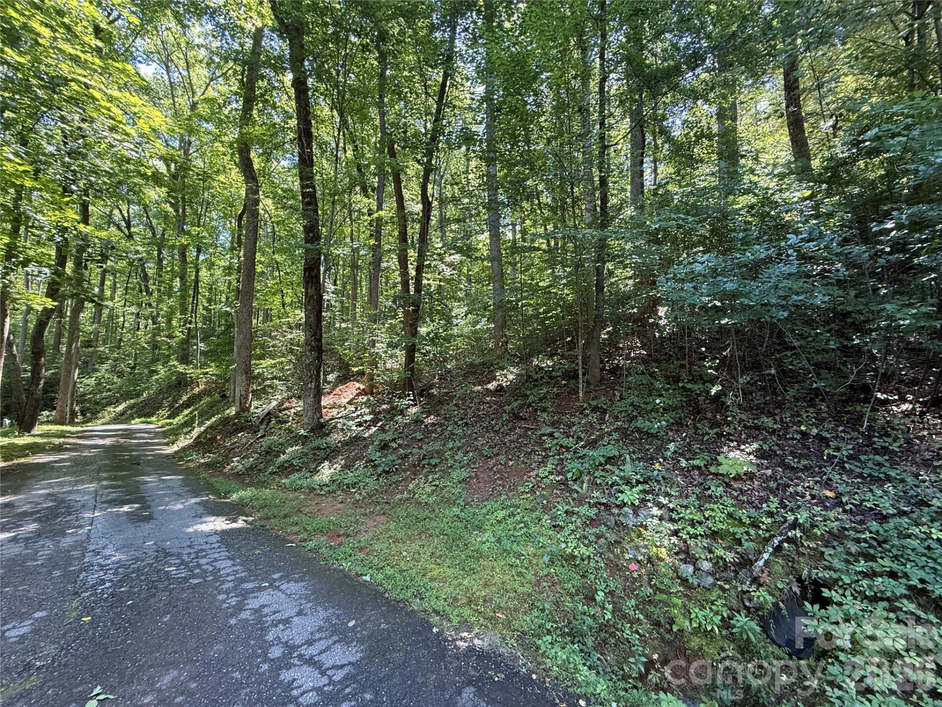 Lot 114 High Pines Loop - Photo 4