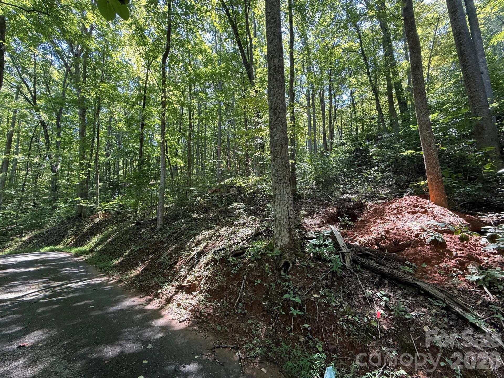 Lot 114 High Pines Loop - Photo 5
