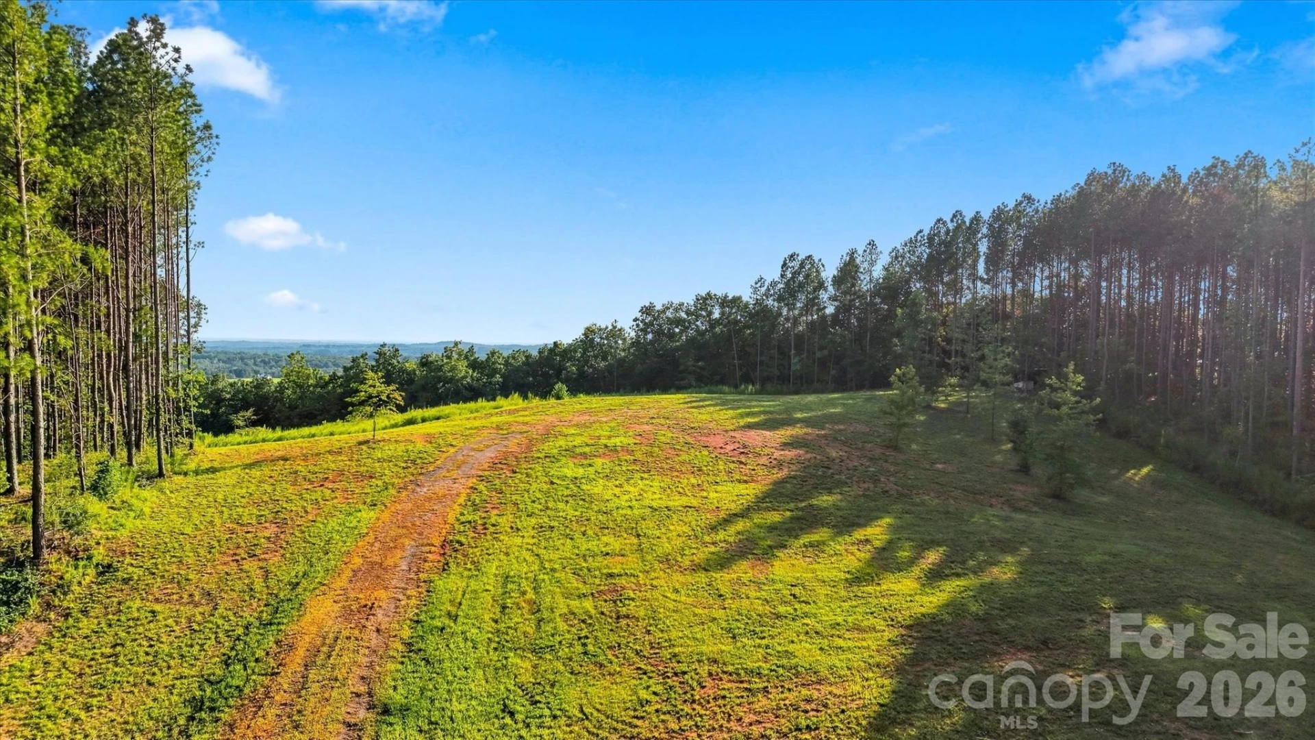 0 Moore Mountain Lane #1 - Photo 3