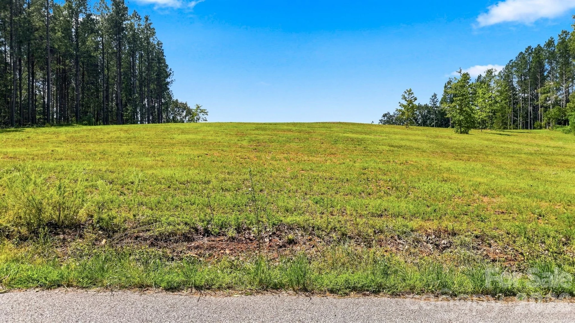 0 Moore Mountain Lane #1 - Photo 10