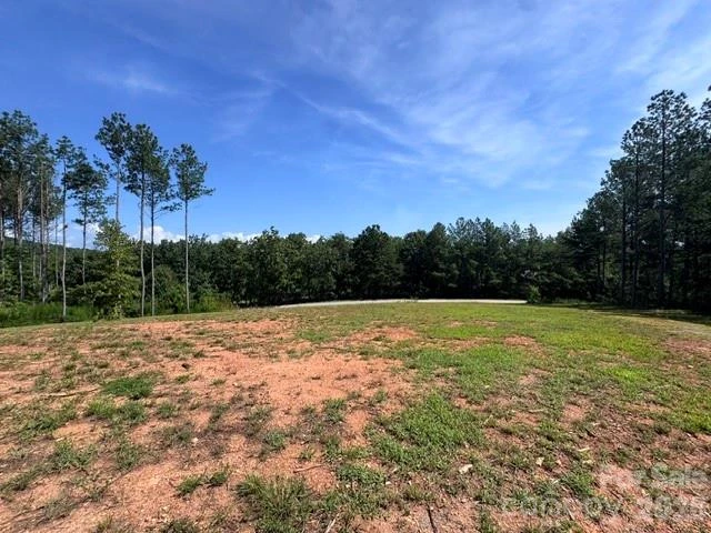 0 Moore Mountain Lane #1 - Photo 11