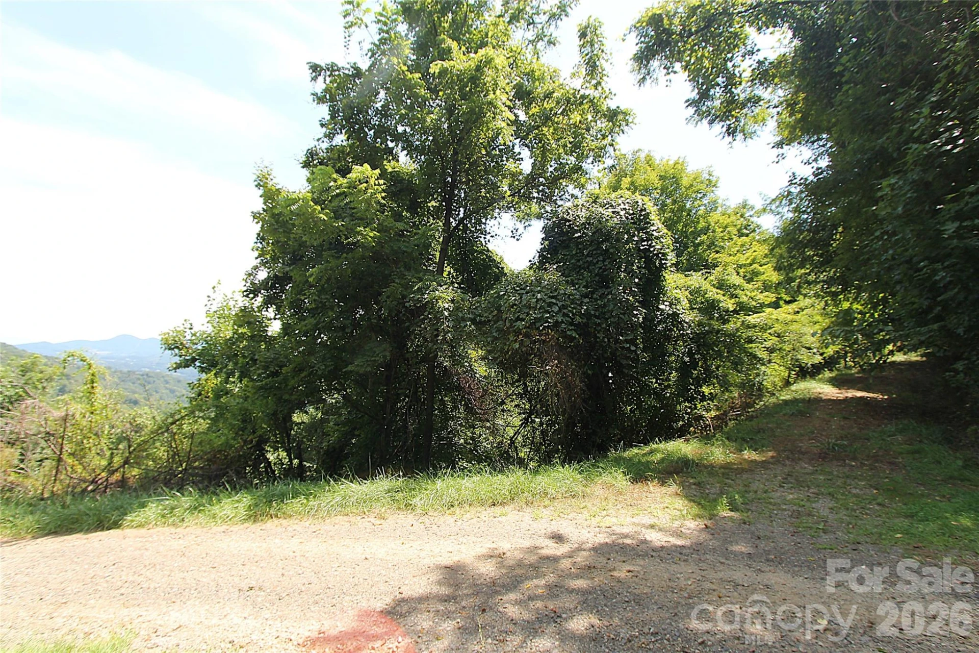 310 High Cliff Drive - Photo 2