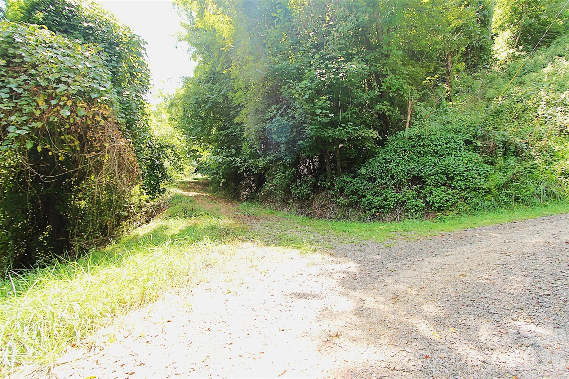 310 High Cliff Drive - Photo 3