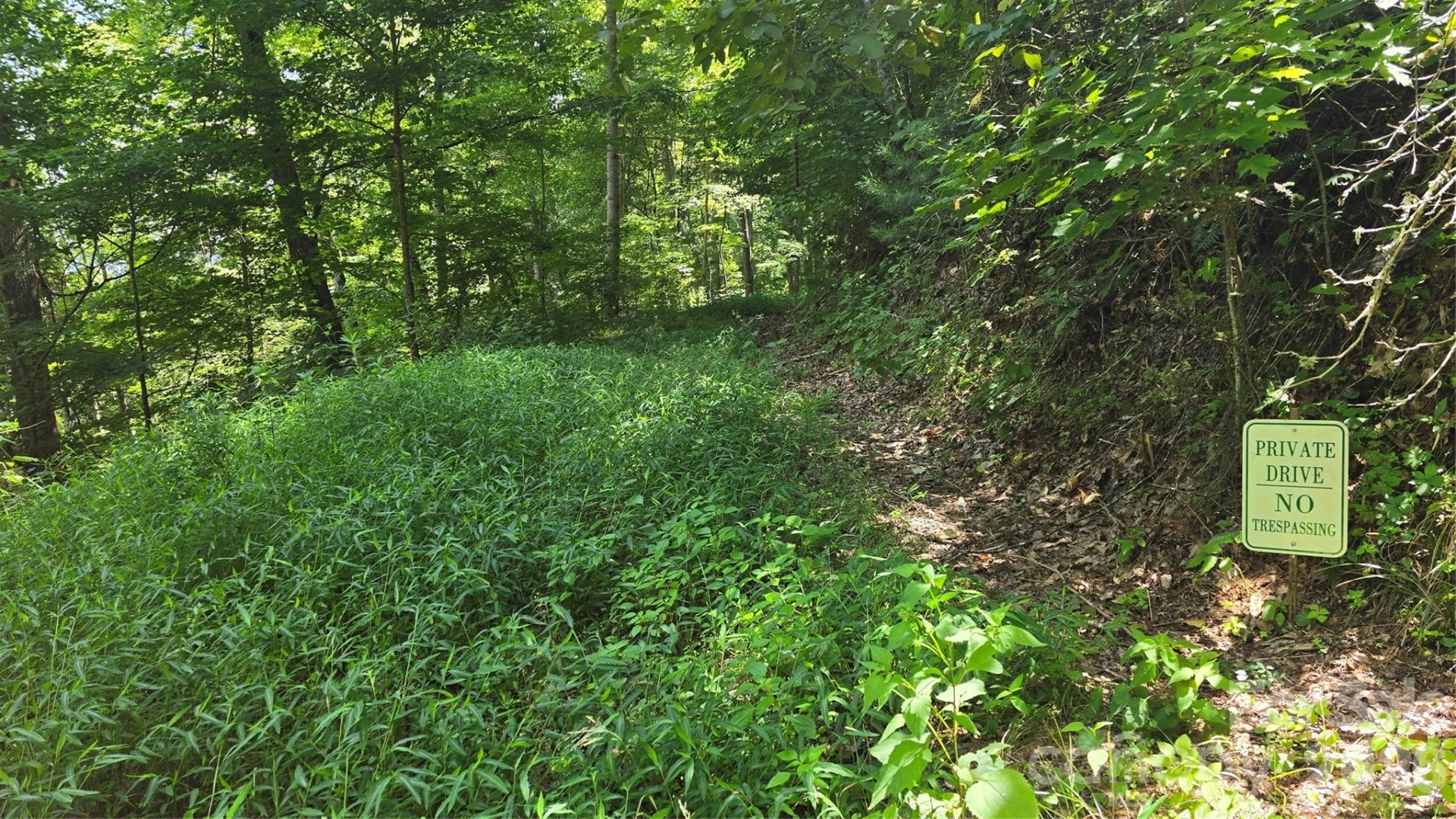 310 High Cliff Drive - Photo 4