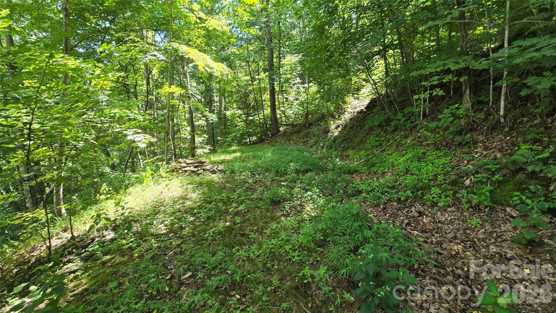 310 High Cliff Drive - Photo 5