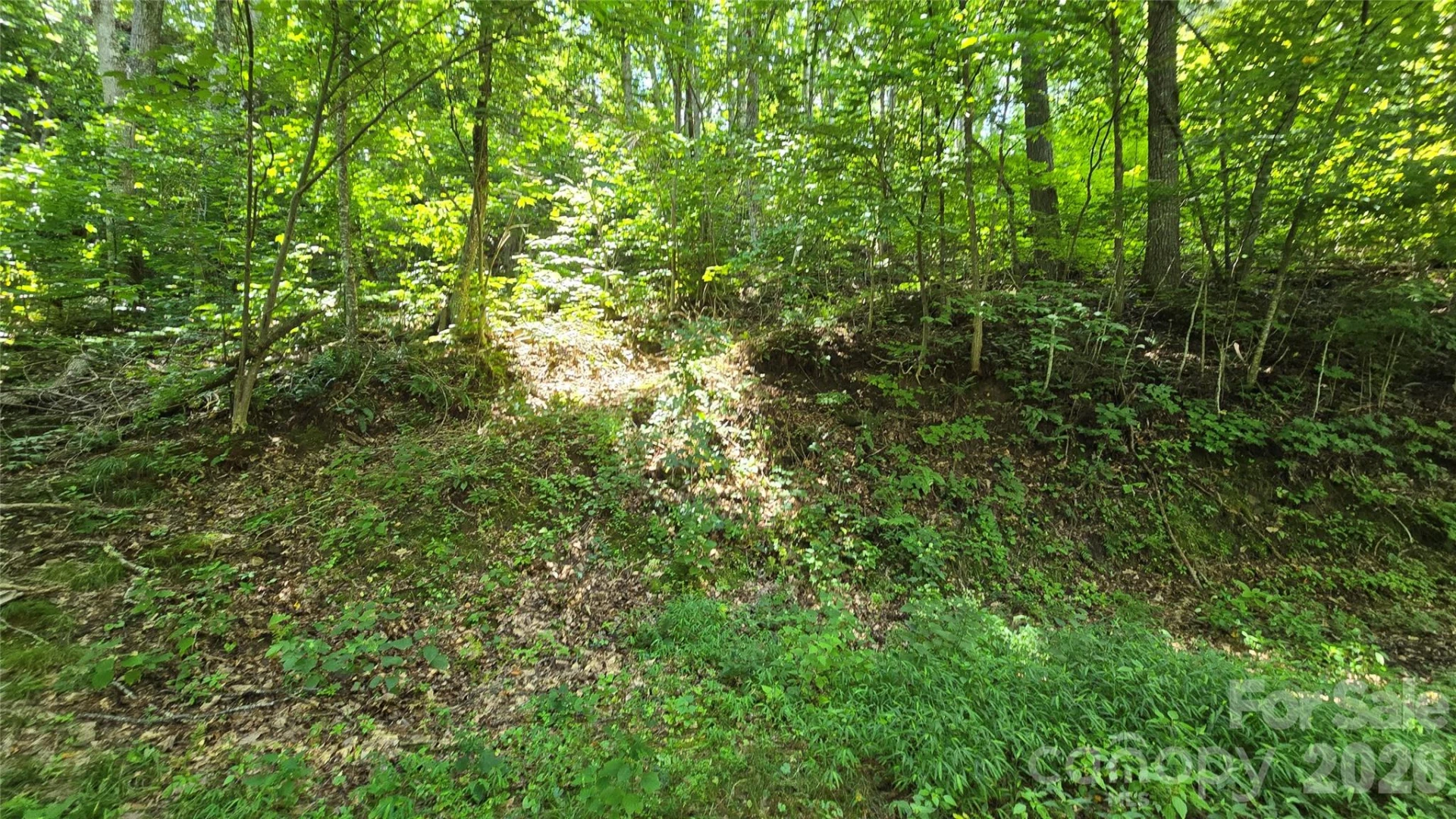310 High Cliff Drive - Photo 6