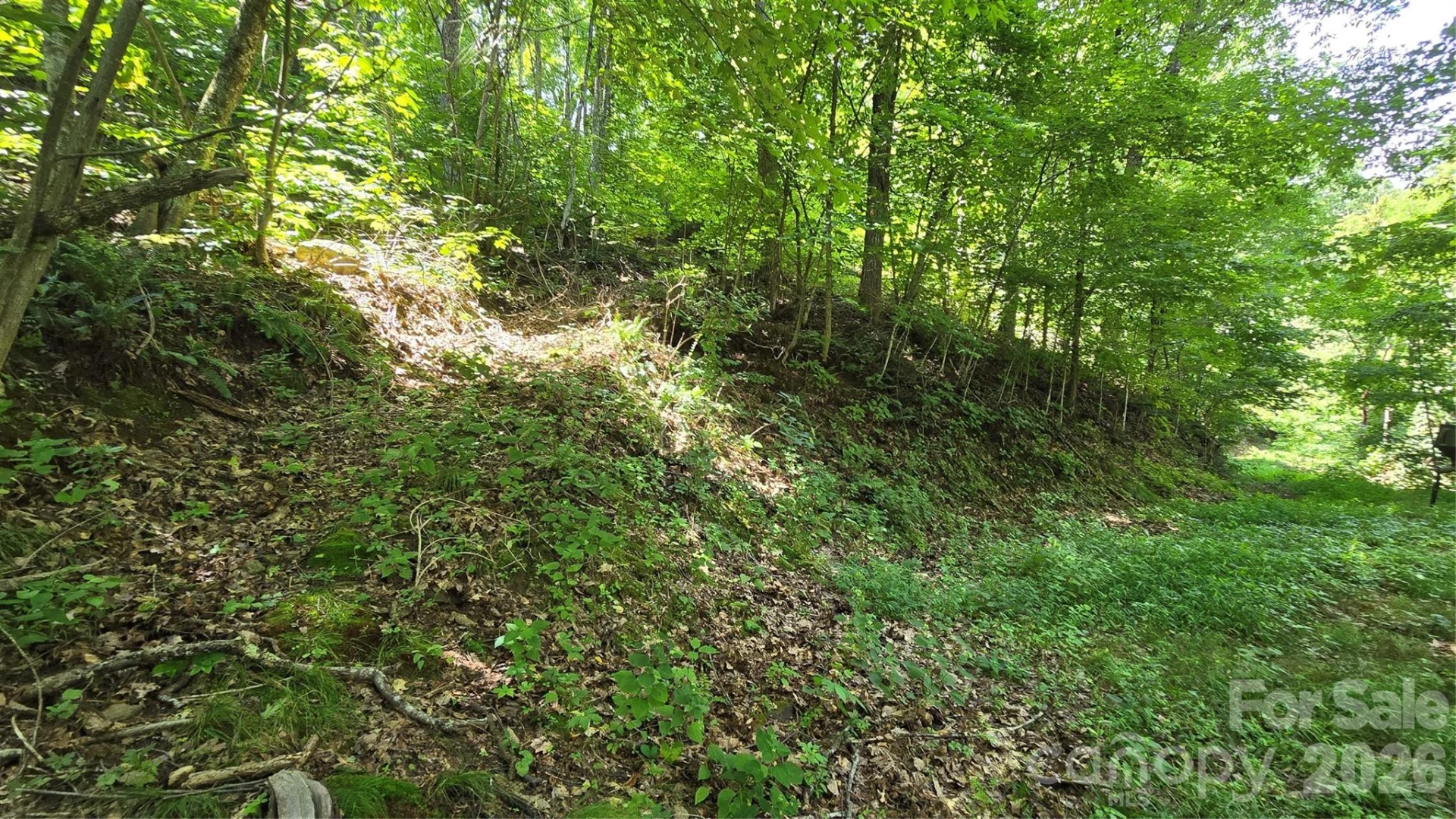 310 High Cliff Drive - Photo 7