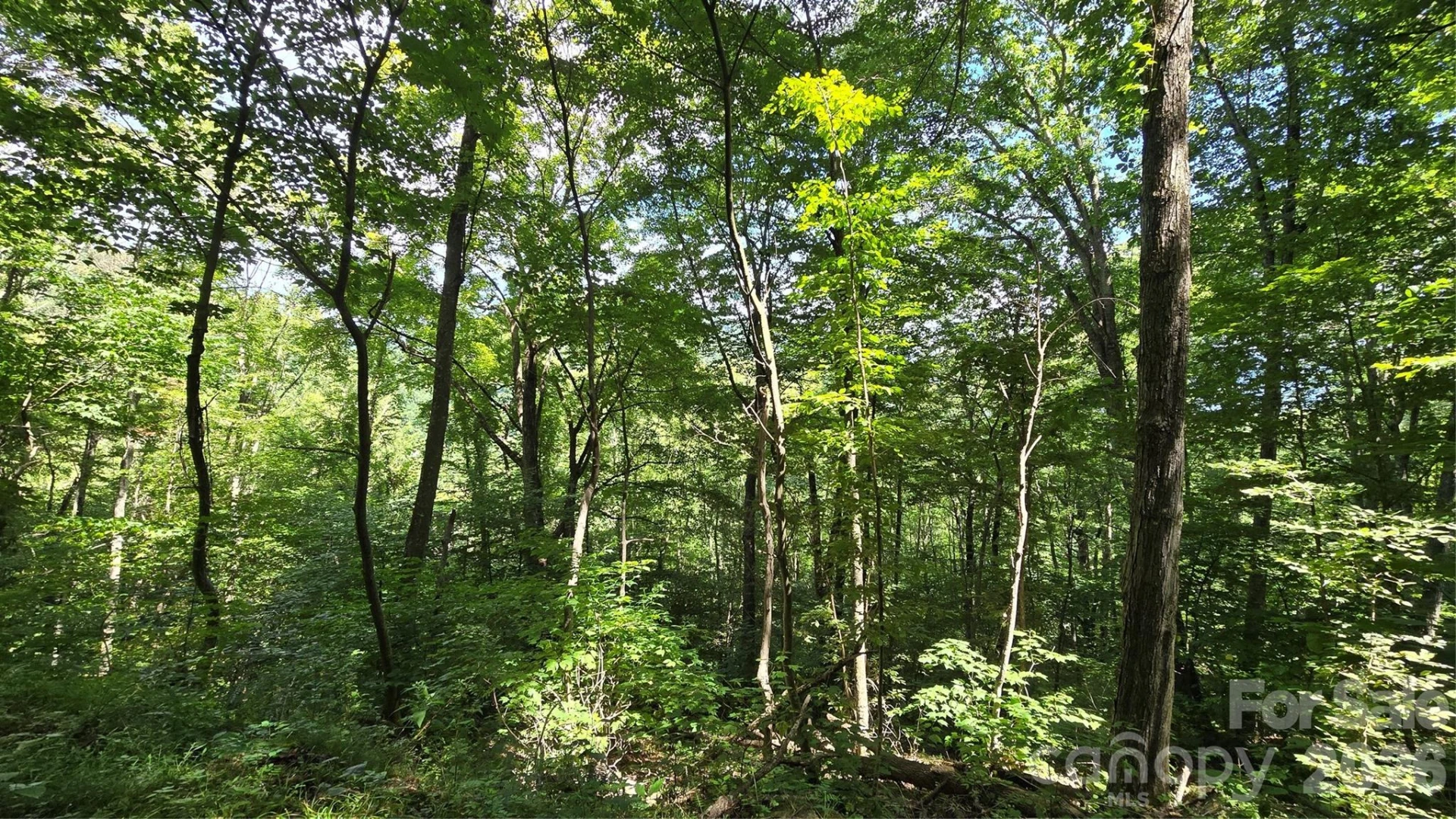 310 High Cliff Drive - Photo 9