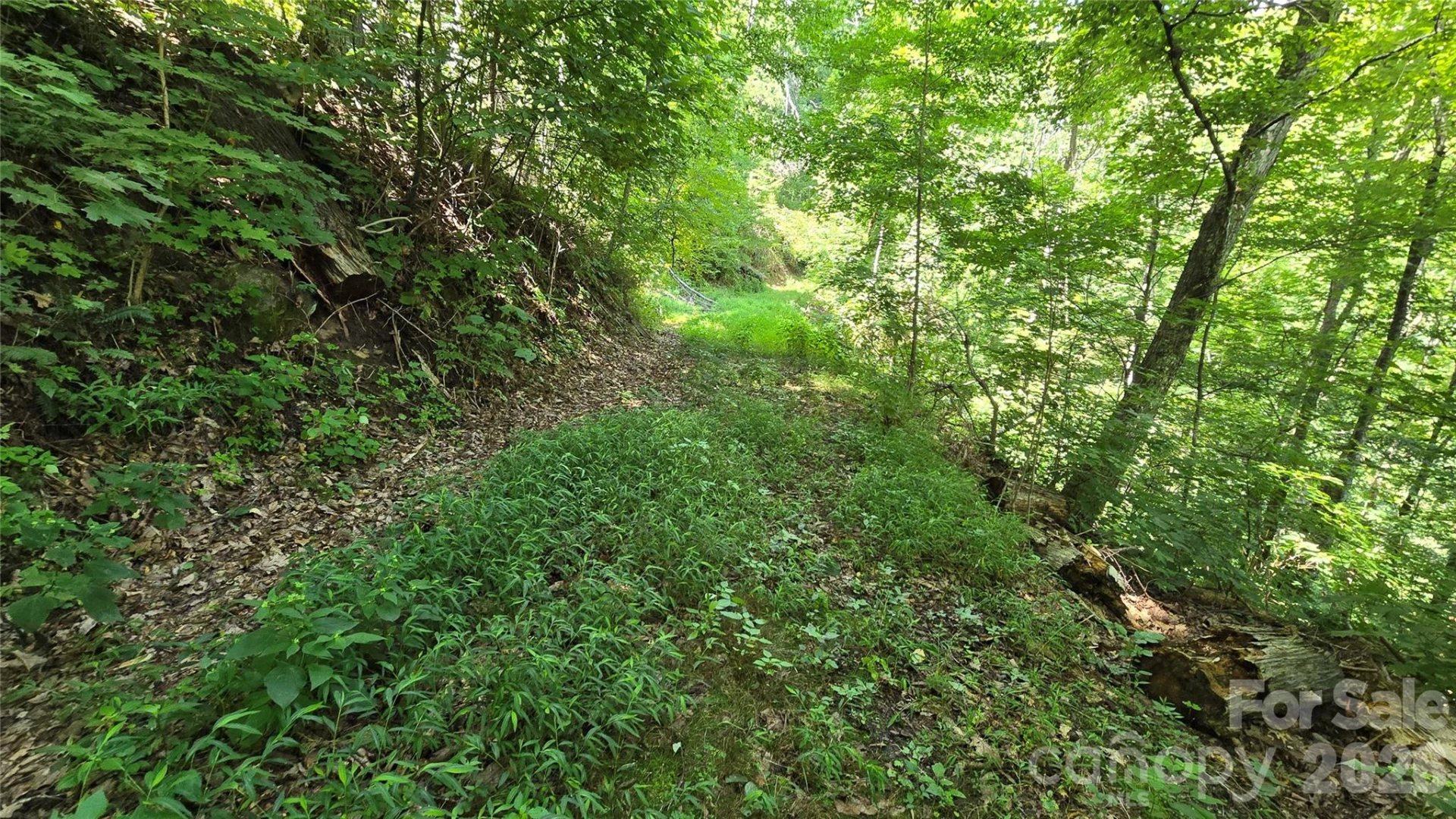 310 High Cliff Drive - Photo 10