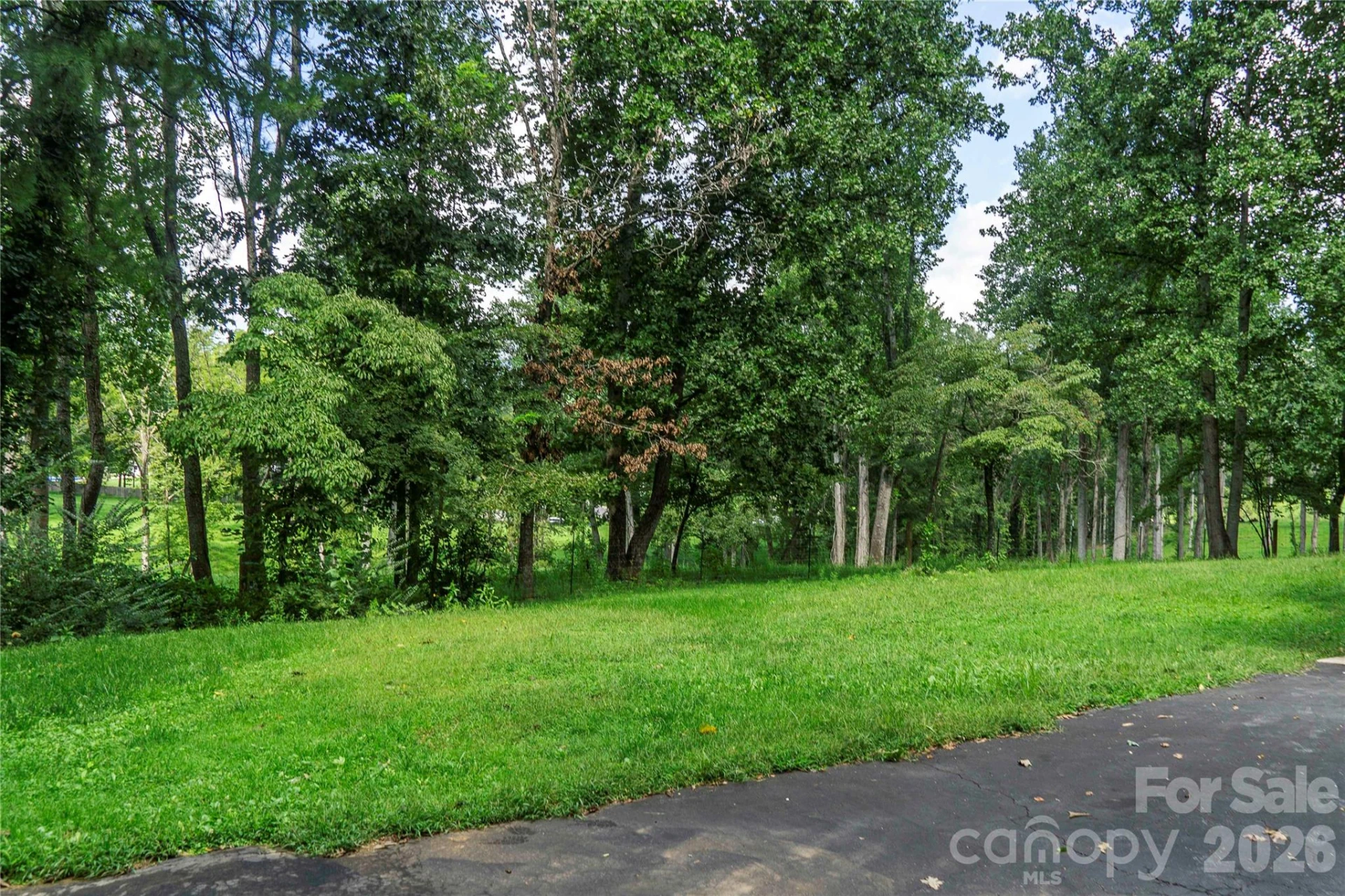 15 Pete Luther Road - Photo 4