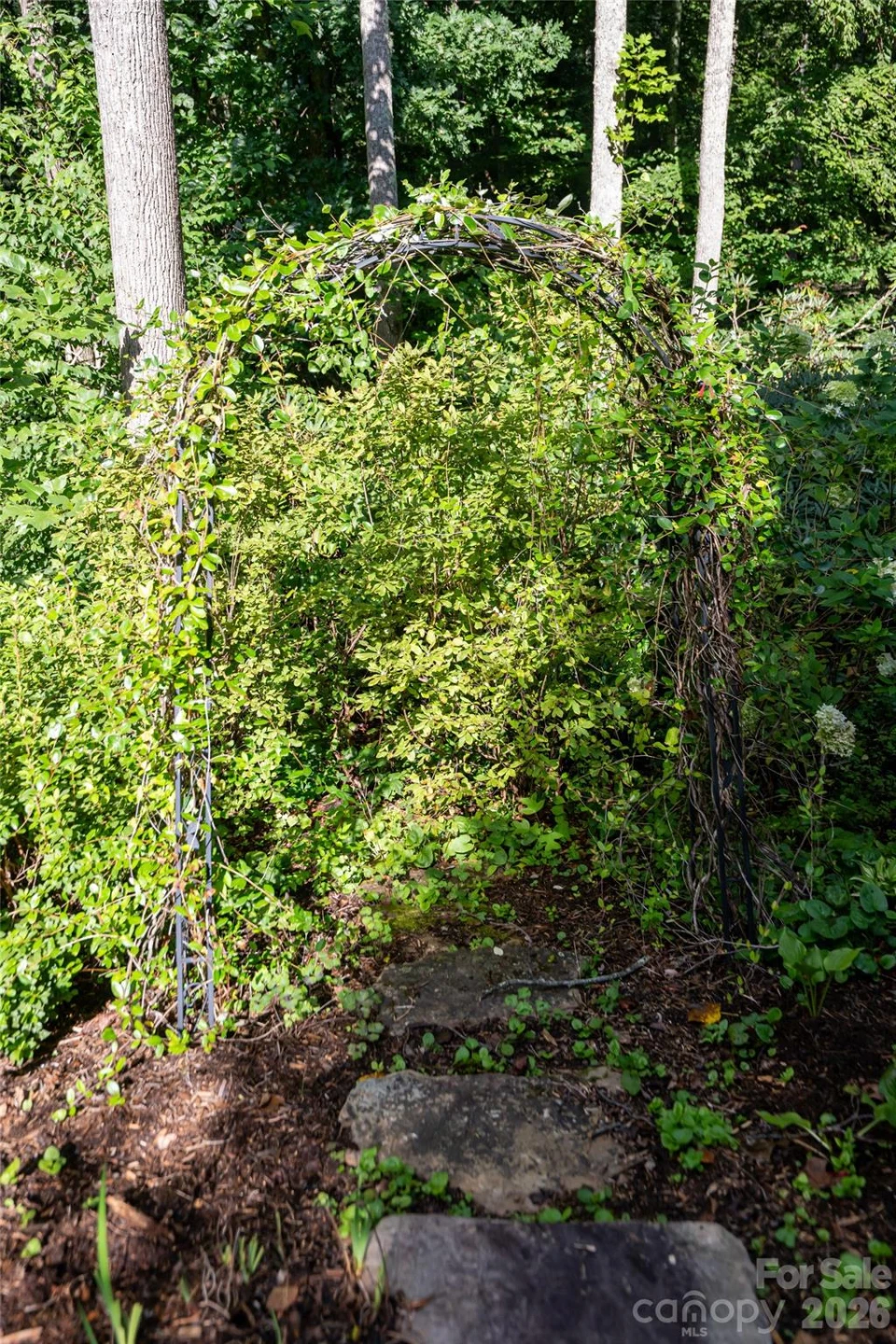 15 Stills Creek Loop - Photo 40