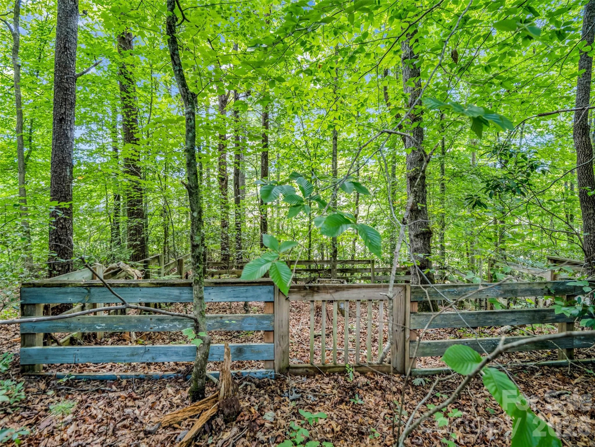277 Debbies Branch Drive - Photo 8