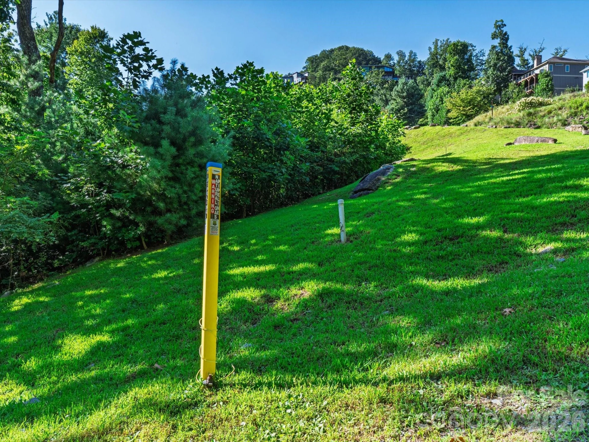52 Lemongrass Trail - Photo 5