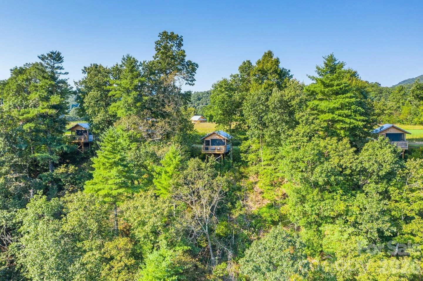 1295 Paint Rock Road - Photo 12