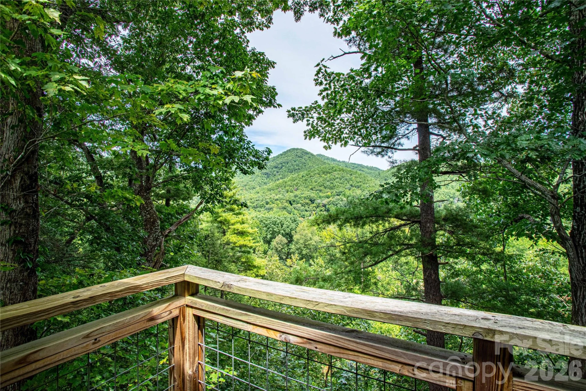1295 Paint Rock Road - Photo 27