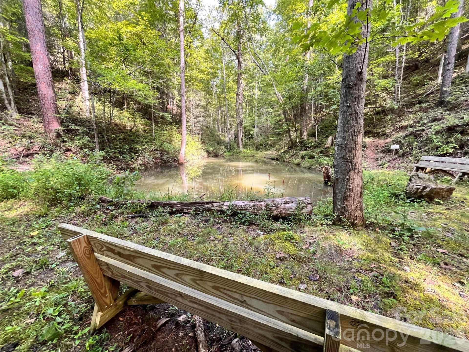 1295 Paint Rock Road - Photo 42