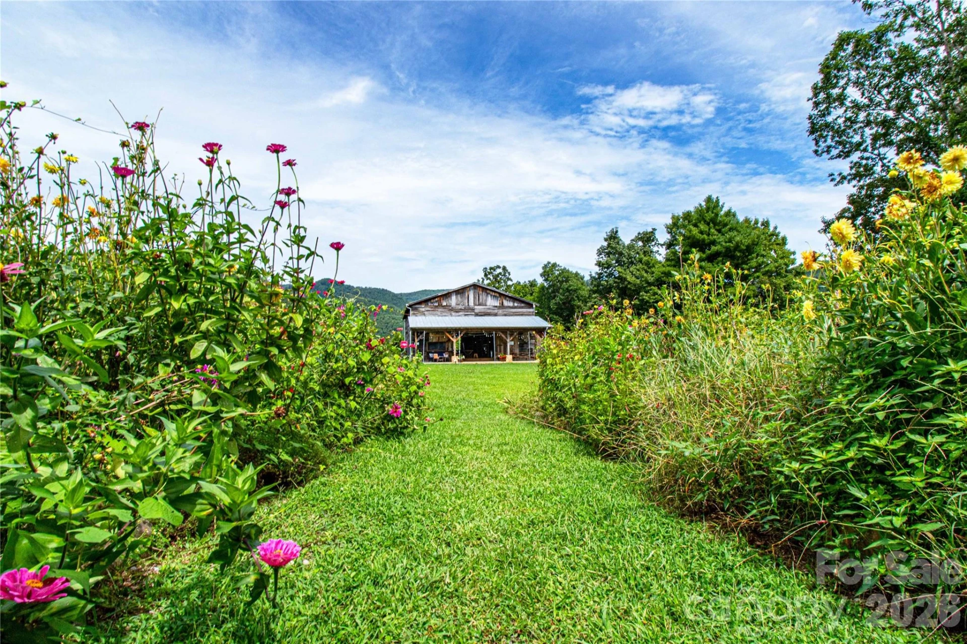1295 Paint Rock Road - Photo 10