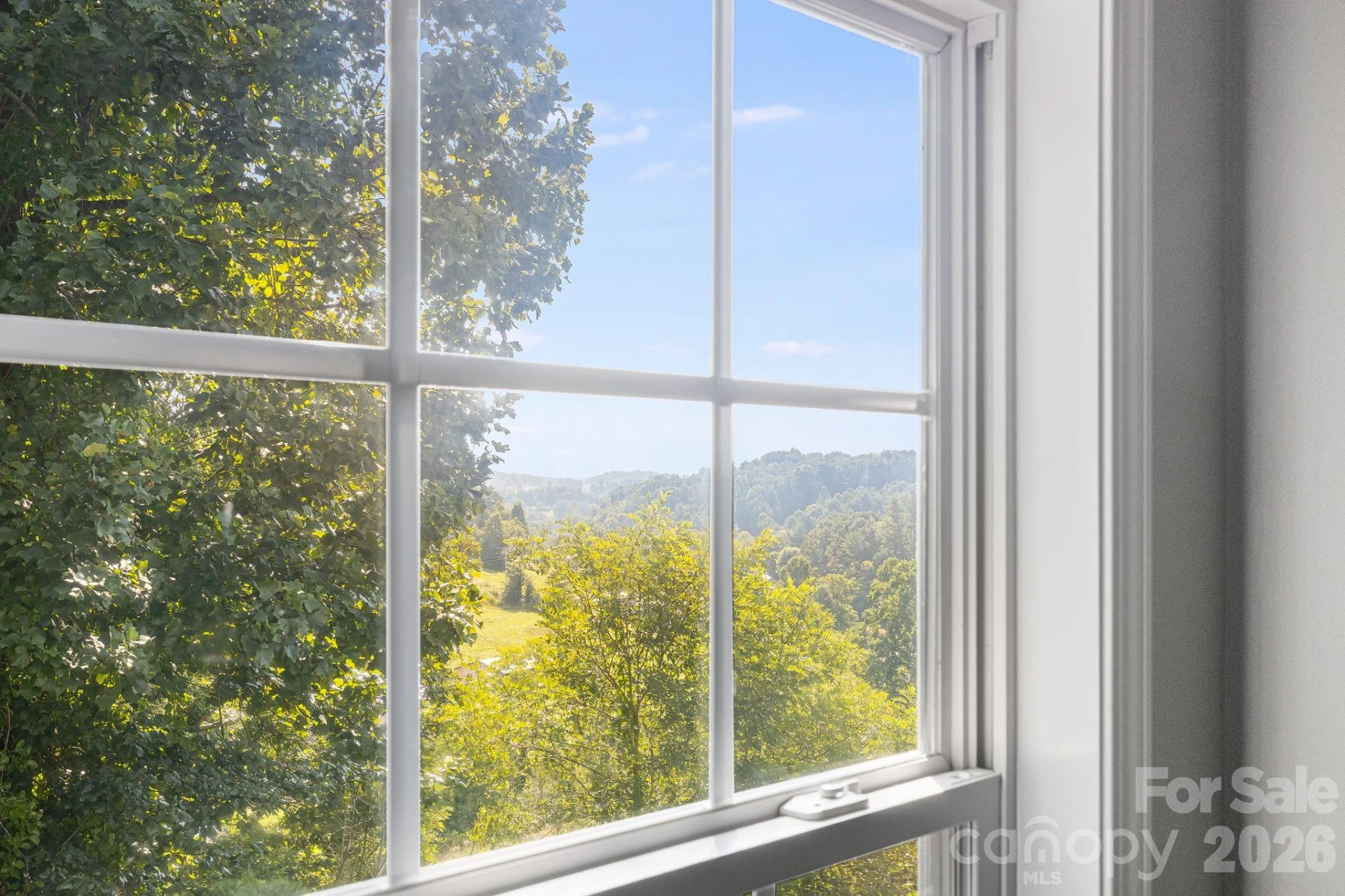 184 Scarlett Ridge Drive - Photo 8
