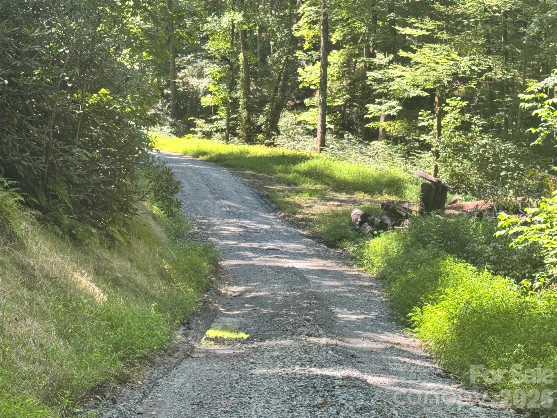 567 Davey Branch Road - Photo 3