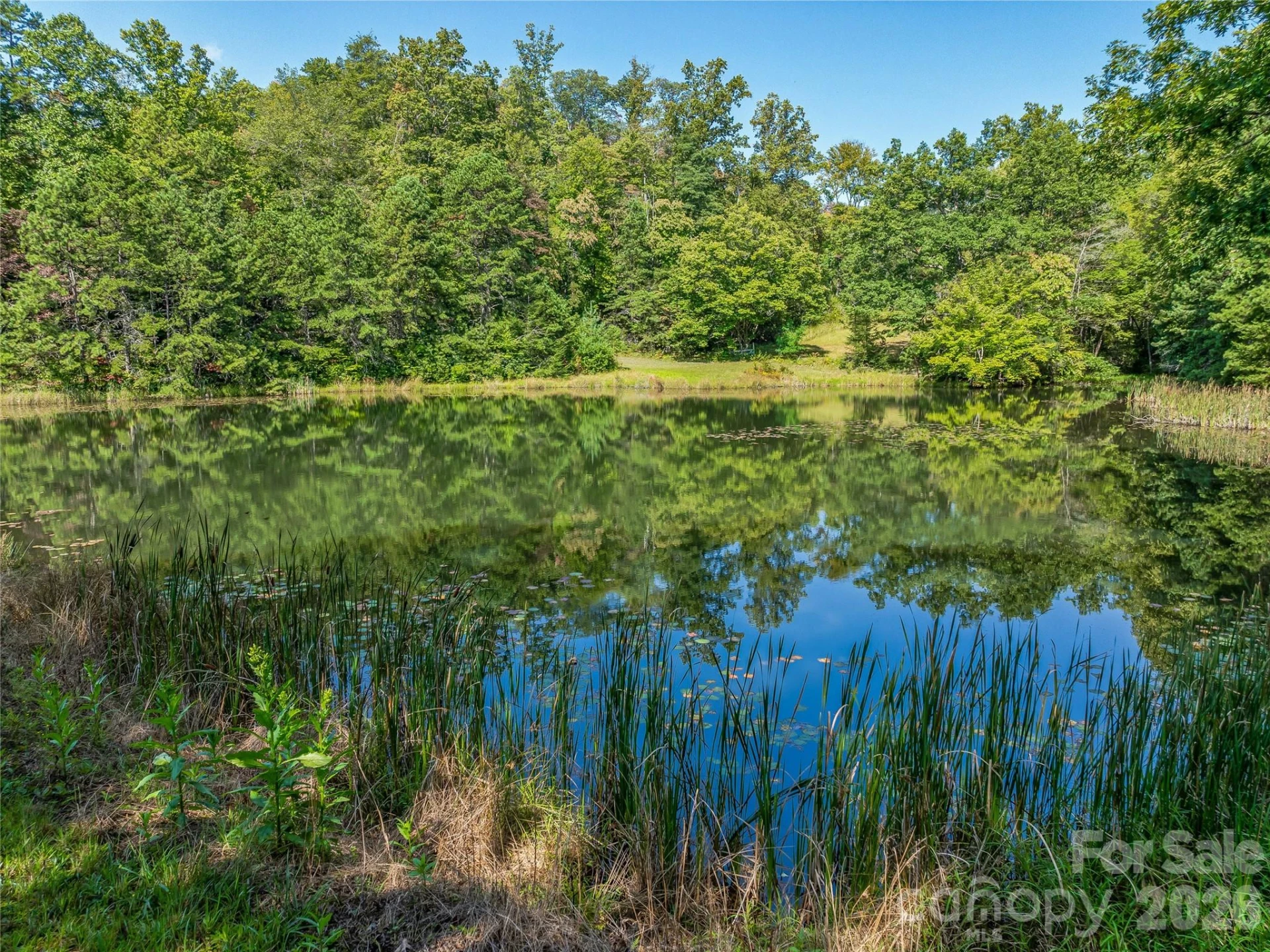 567 Davey Branch Road - Photo 6