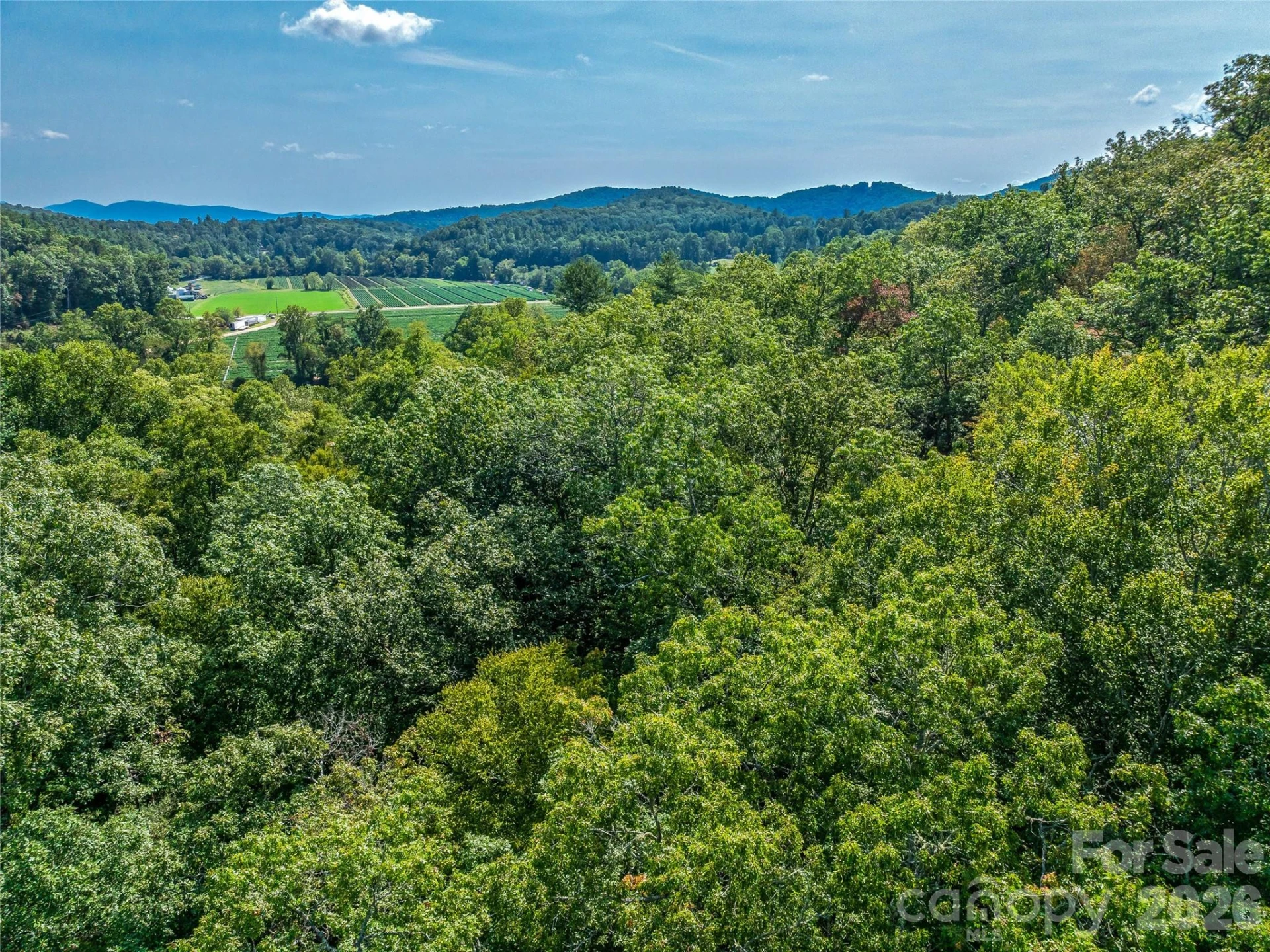 567 Davey Branch Road - Photo 7